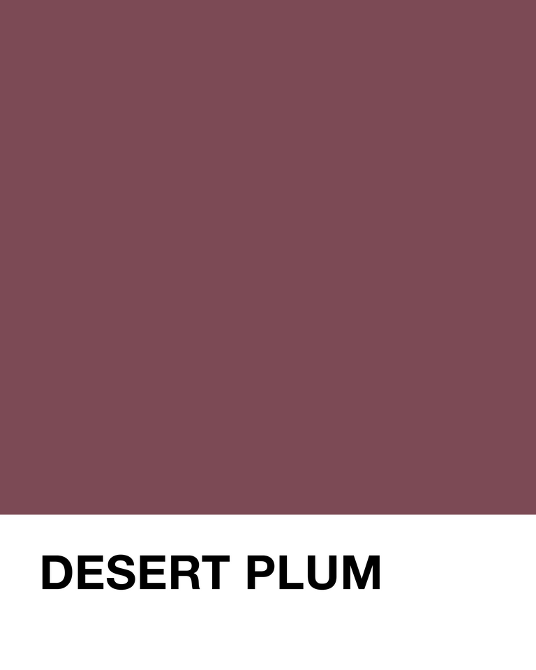 Solid color swatch with the label 'Desert Plum' on a white background