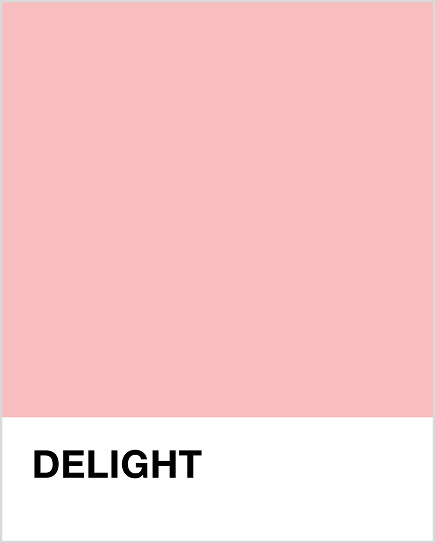 Pink color swatch with 'Delight' text on a white background