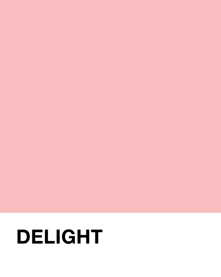 Pink and white color swatch with 'DELIGHT' text