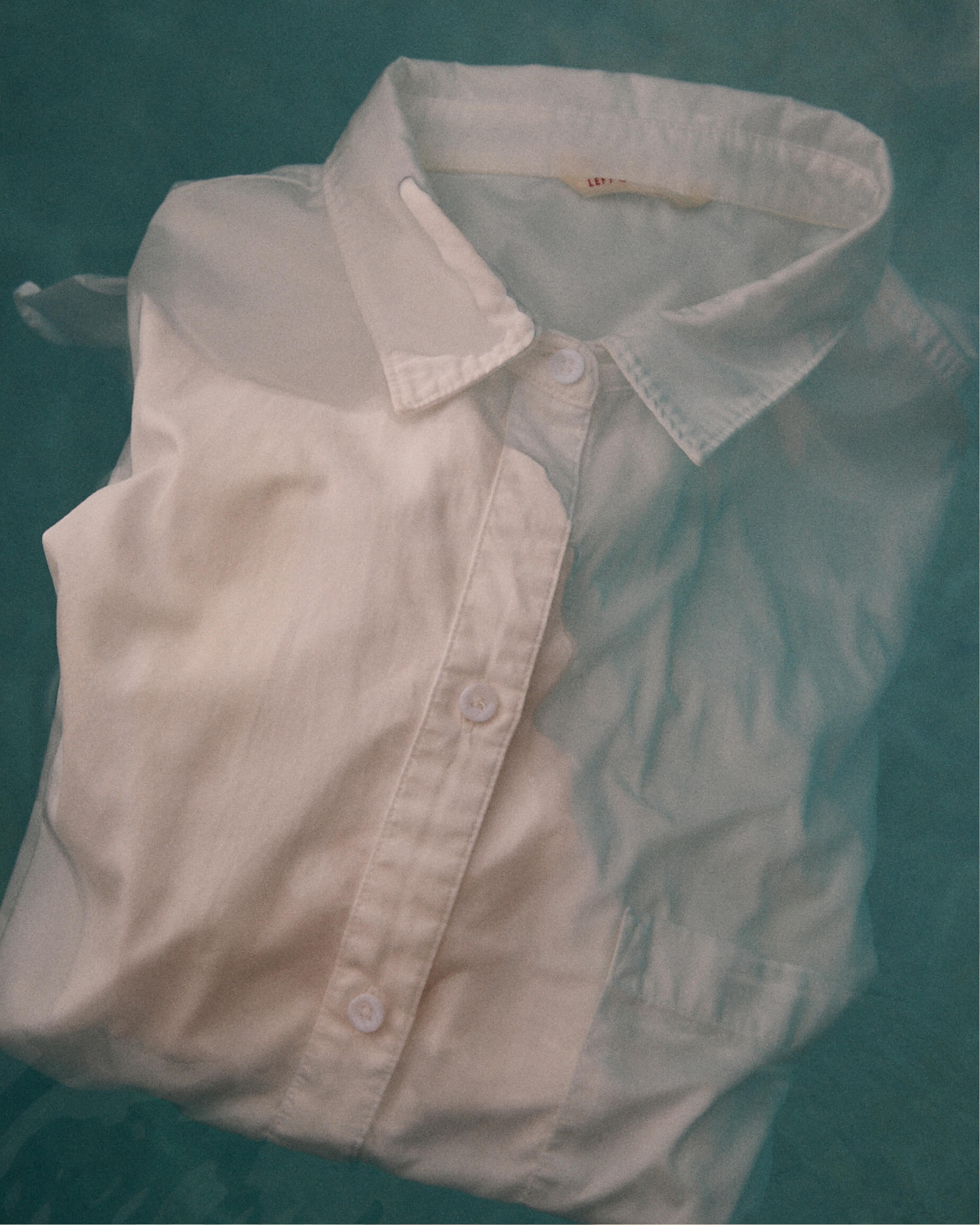 Port Button Down in Coconut
