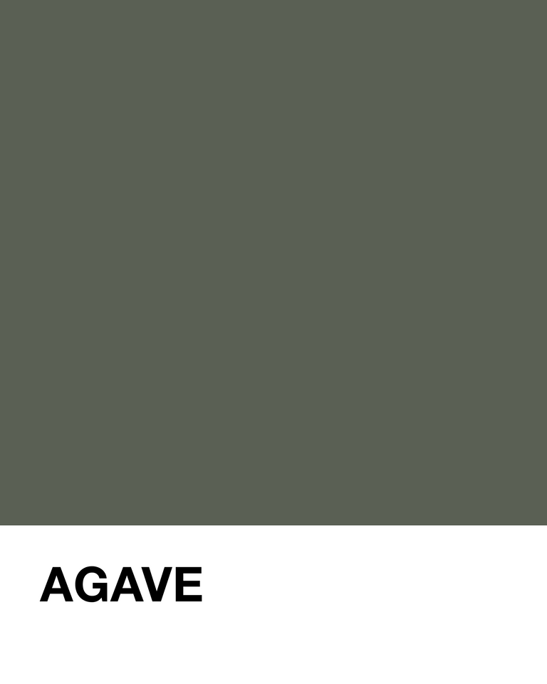 Agave Pantone