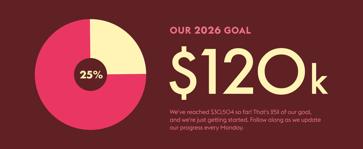 A digital graphic with a dark reddish-brown background, featuring a donut chart in pink and cream with a central black circle labeled '25%'. To the right, large cream text reads 'OUR 2026 GOAL $120k' with smaller descriptive text below.