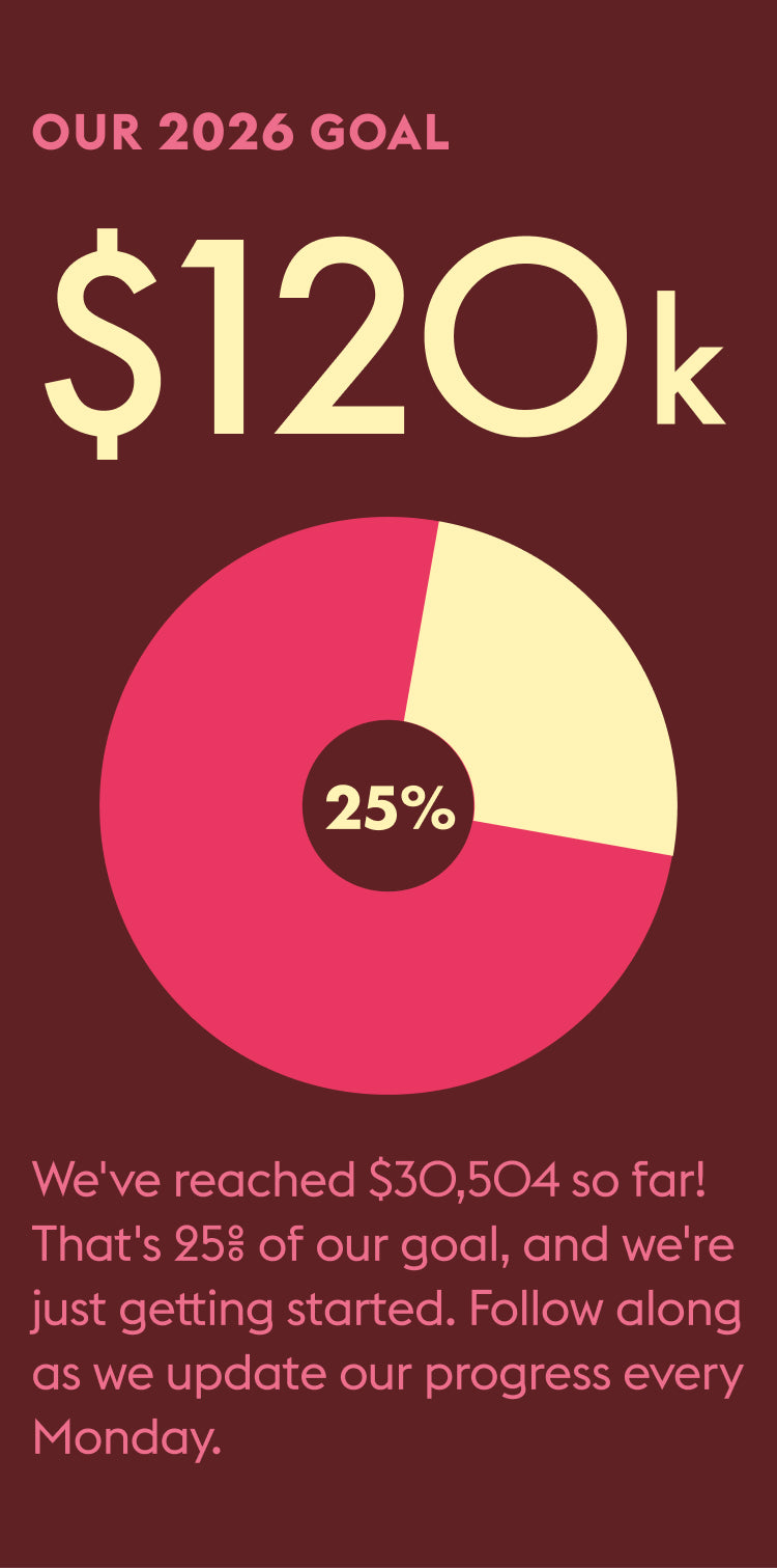 A motivational finance progress graphic with a dark burgundy background. It shows the text 'OUR 2026 GOAL' above a large '$120k' and a circular progress pie chart with one pink segment and one pale yellow segment, labeled '25%'.