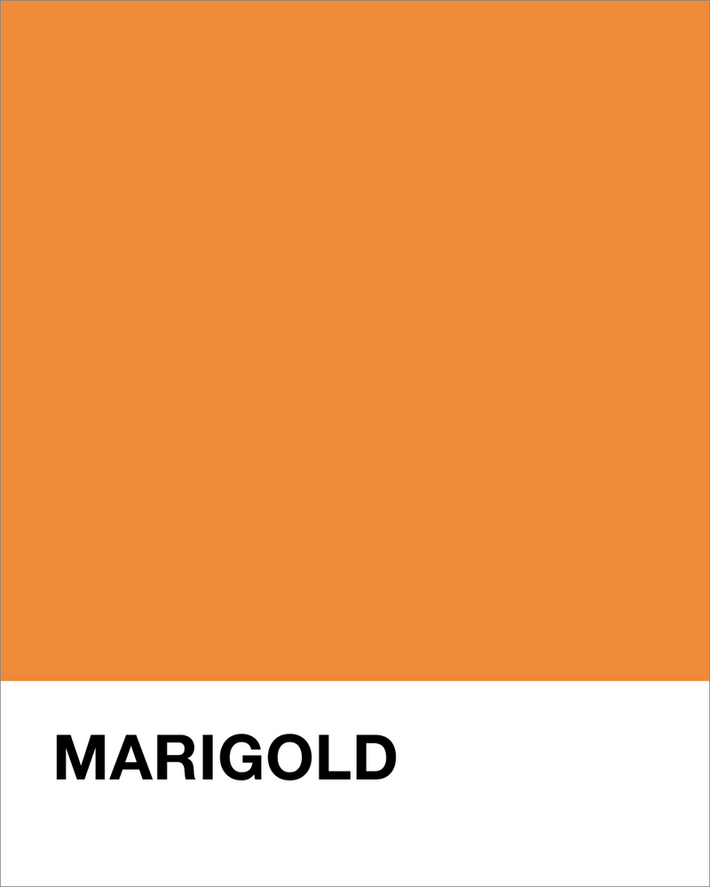 Marigold (Orange)