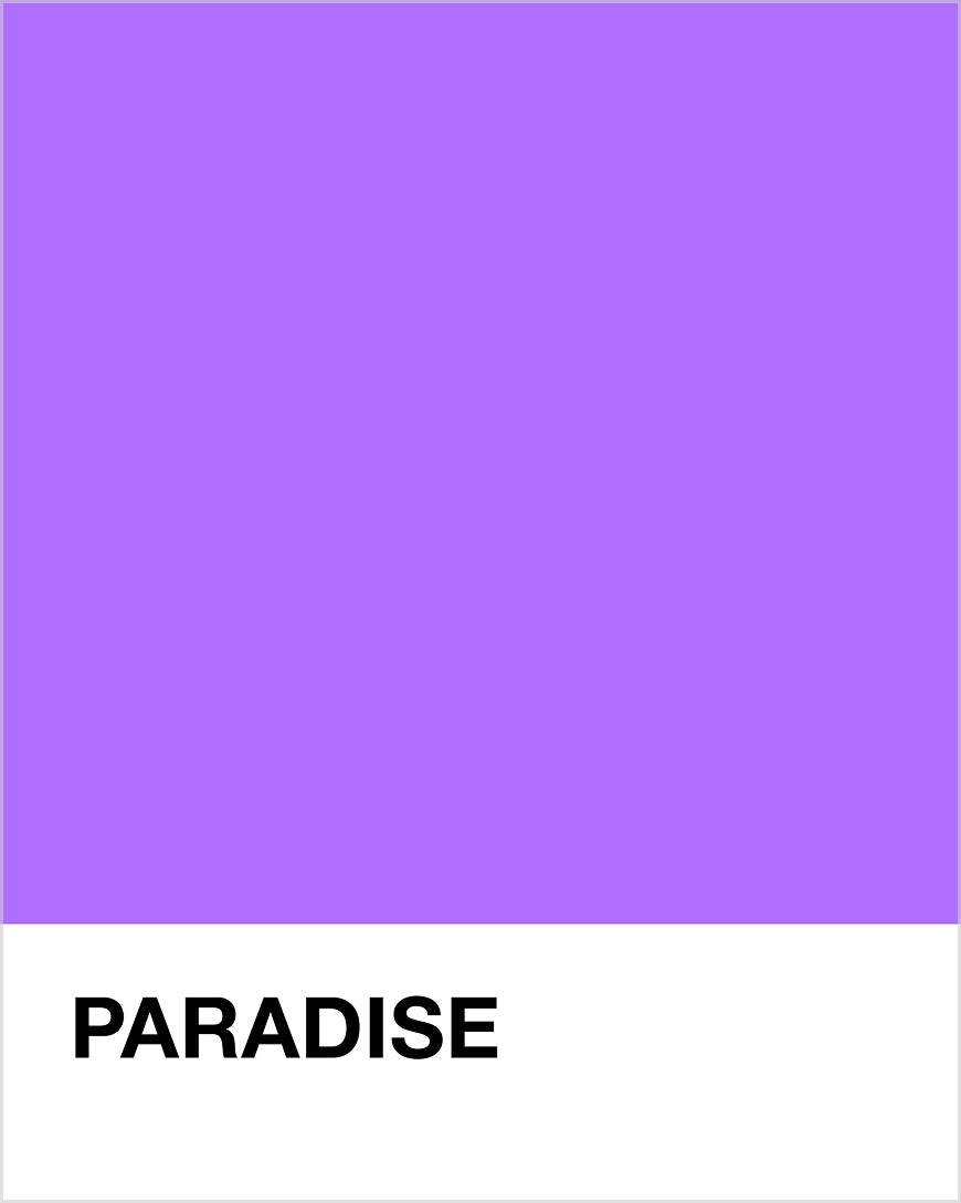 Paradise Pantone