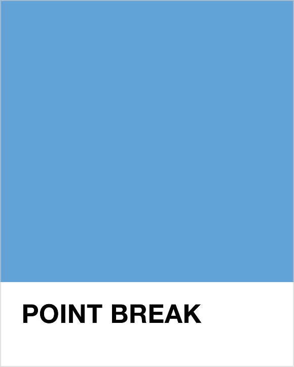 Point Break Pantone