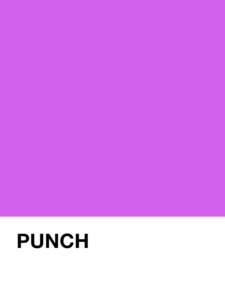 Punch Pantone