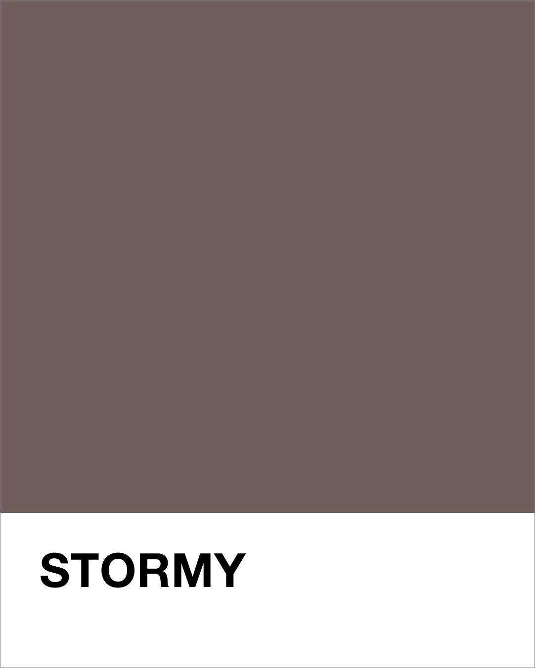Solid deep taupe color swatch with 'STORMY' text below on a white background