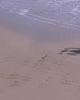 Left On Friday active on the beach